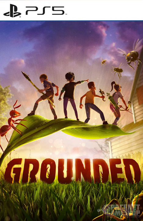 Grounded PS5
